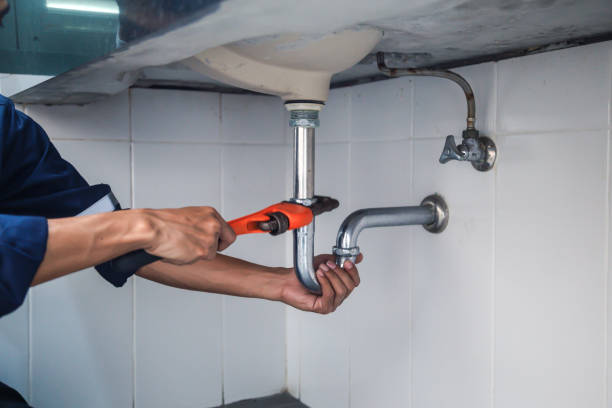 Best Clogged Drain Plumber  in Zolfo Springs, FL